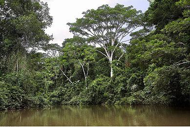 国产独立游戏《深沉之火》正式发售 适合魂类玩家