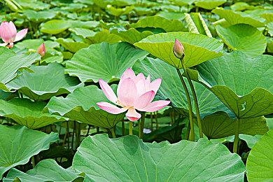 基建游戏《重塑火星》正式在Steam推出 一起出发去火星搞建设！